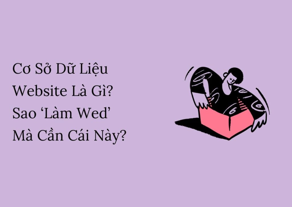 Cơ Sở Dữ Liệu Website Là Gì? Sao ‘Làm Wed’ Mà Cần Cái Này?