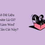 Cơ Sở Dữ Liệu Website Là Gì? Sao ‘Làm Wed’ Mà Cần Cái Này?