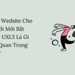 Làm Wedsite Cho Người Mới Bắt Đầu: UXUI Là Gì Mà Quan Trọng Vậy?