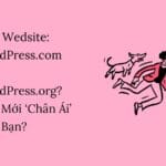 Làm Wedsite: WordPress.com hay WordPress.org? Đâu Mới ‘Chân Ái’ Cho Bạn?
