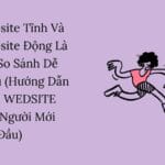 Website Tĩnh Và Website Động Là Gì? So Sánh Dễ Hiểu (Hướng Dẫn LÀM WEDSITE cho Người Mới Bắt Đầu)